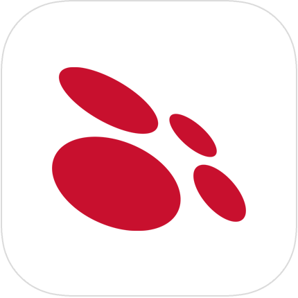Logo Copernica