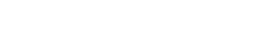 Logo Newsroomie